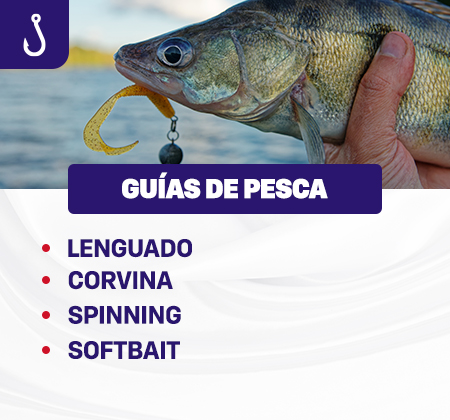 Guías de pesca para lenguado, corvina, spinning, vinilos
