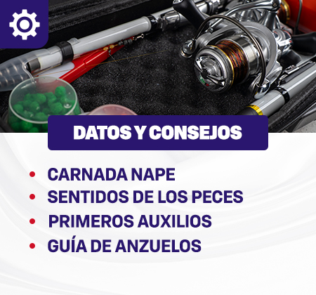 Tip, datos y consejos para mejorar tu salida de pesca