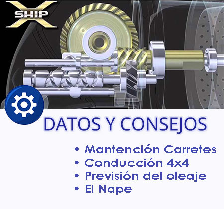 Tip, datos y consejos para empexar en la pesca de orilla