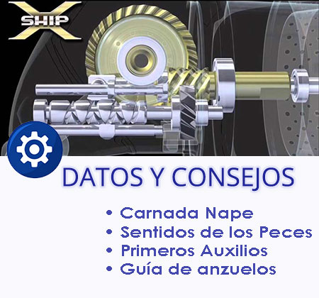 Tip, datos y consejos para mejorar tu salida de pesca