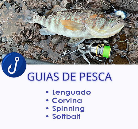 Guiás de pesca para iniciarte en este hobby